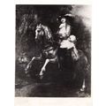 Rembrandt Horse Animal Equestrian Real Photo Ar...