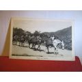 TROOP ON THE MARCH, DONKEYS PORTUGAL? unused Po...