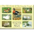 Martin Mere, Lancashire nr Burscough - Wildfowl...