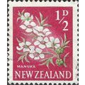 NEW ZEALAND, FLOWER, Manuka, Leptospermum scopa...