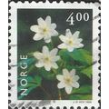 NORWAY, FLOWER, Wood Anemone, Anemone nemorosa,...