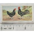 1916 Ogdens Poultry 2nd Series, No. 34 La Bress...