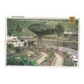 VIEW OF THE DRAGO, TENERIFE, SPAIN used postcar...