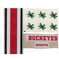 OHIO STATE BUCKEYES FULL SIZE FOOTBALL HELMET D...