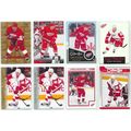 Tomas Holmstrom 8x card lot incl Golds, Retro
