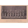 Sakkara Tomb Procession Of Wooden Offering Bear...