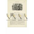 Raglan Castle, Monmouthshire, Book Illustration...
