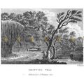 Dropping Well, Knaresborough, Yorkshire, 1825, ...