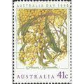 AUSTRALIA, FLOWER, Acacia pycnantha, yellow 199...