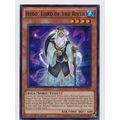 YuGiOh Raging Tempest RATE-EN030 Hebo, Lord of ...