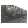 Railway Photo BR Class 41 D601 Ark Royal Woodha...