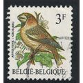 Belgium Hawfinch Bird Buzin 'Apelvink - Gros Be...