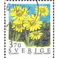 SWEDEN, FLOWER, Alpine arnica, crowberry, yello...