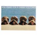 A CHEEKY POSTCARD used postcard 1991 postmark 4...