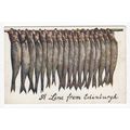 A Line from Edinburgh Novelty Oilette Postcard ...