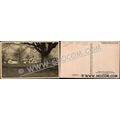 CT Northford Postcard Autumn Silhouette Conn Te...