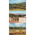 The Good Fence Metulla 3x Isreal Postcard s