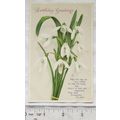 1914 postcard Birthday Greetings - white flowers