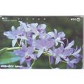 Orchid Japan NTT Phone Card