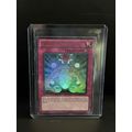 Macro Cosmos - RYMP-EN082 - Ultra Rare - Unlimi...