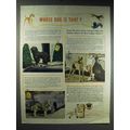 1947 Ethyl Gasoline Ad - Whose Dog is That?