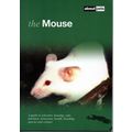 The Mouse A Guide to Selection Housing Care Nut...