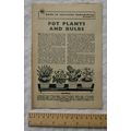 1961 Pot Plants and Bulbs, Guide to successful ...