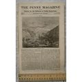 1836 The Penny Magazine No. 261 Petra, cow tree...