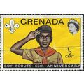 GRENADA, SCOUTS, Salute, 65 years, yellow 1972, ½c