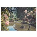 ALTON TOWERS, unused vintage postcard by J.Arth...