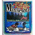 Minnesota State Vinyl Reflective Souvenir Decal...
