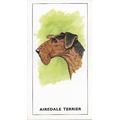 Dogs Heads 1963 G.P. Tea Card 17 - Airedale Ter...