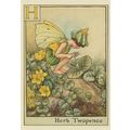 Herb Twopence Fairy of Childrens Flower Fairies...