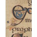 Book Of Kells Dove With Olive Branch St John 7....
