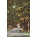Burton Walks Loughboro 1920 Local Postmark Post...