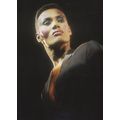 Grace Jones Stunning Photo Postcard