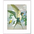 Swallow Mounted Bird Picture Print White 10 inc...