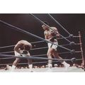 Muhammad Ali vs Joe Frazier Boxing Postcard