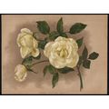 DWARF YELLOW TEA ROSES 1894 A.F. Hayward - Guil...