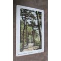Early fr Arcadia Series Postcard - Natural Aven...