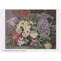 Cultivated Flowers painted in Jamaica Artist Un...