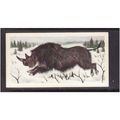 Brook Bond Prehistoric Animals Coelodonta No 44...