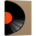 A Record Of My Vinyl