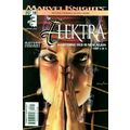 Elektra (Vol 2) # 018 NM MODERN AGE COMICS