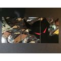 Images of ShadowHawk, Cards Illustrated preview...