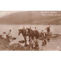 Early Morning Labours Horse Helping Launch Boat...