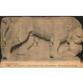Nimes, Eglise St Sauveur D'Aix, Lion Androphage...