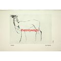 Antelope, John Skeaping, Book Illustration (Pri...