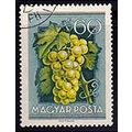 Hungary 1954 Fruit 60f Used Stamp