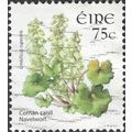 EIRE, FLOWER, Navelwort, Umbilicus rupestris, w...